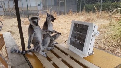 二人でストーブ
