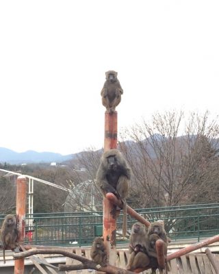 いつもの定位置