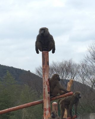 アンバランス！