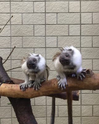 横に傾けて〜