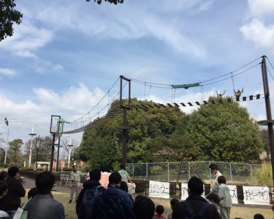 観覧するのは？