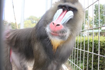 ぎらーん