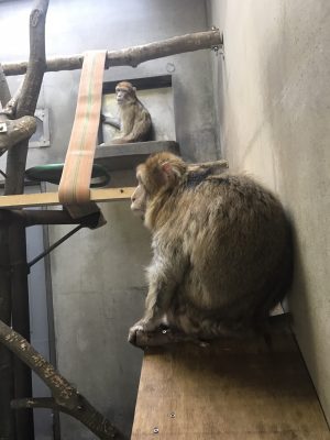 チャンとリンお互い距離を置く