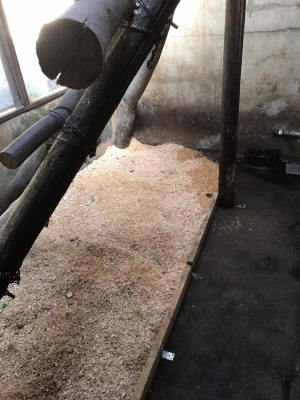 餌を隠し終わった寝室