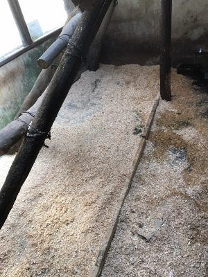 朝の寝室の様子