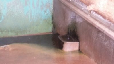 水のみ場