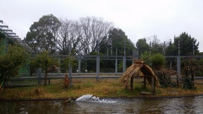 マダガスカル館