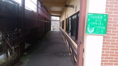 マダガスカル館通路