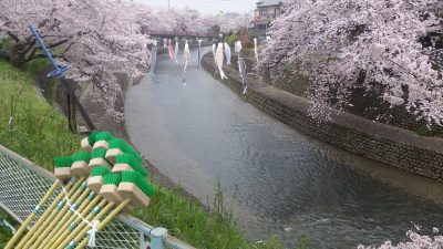 川と桜とデッキブラシ