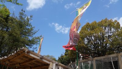 風で舞うノボリ