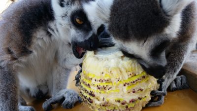 筍旬旬旬