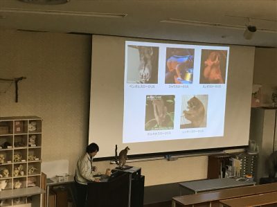 キュレーターズガイドの様子