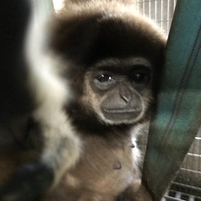 スマホを取ろうとするジェシカ