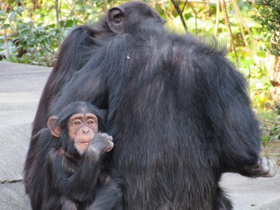 マモルとツトム・マルコ