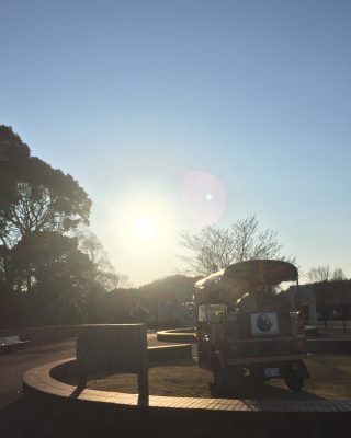 夕日に映えるトゥクトゥク