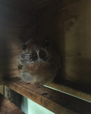 アオキくん