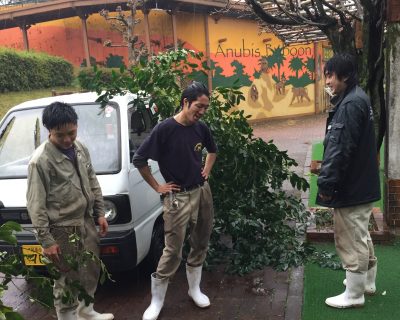 びしょ濡れ