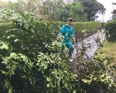 坂を登る