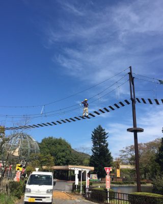 高い！