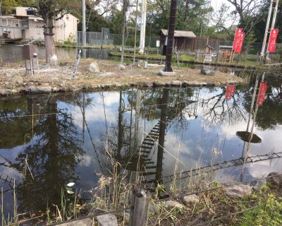 ビオトープ