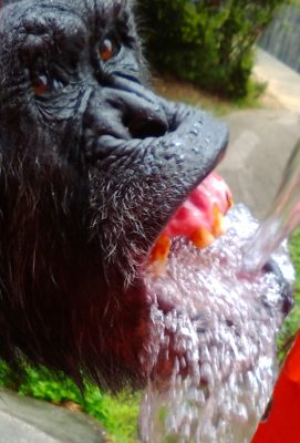 口からあふれる水