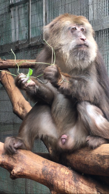 なんでも食べる