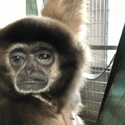 ジェシカ