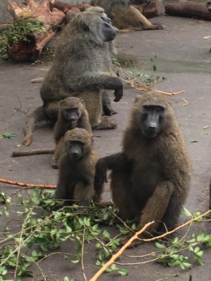 ソラとキゴマ2