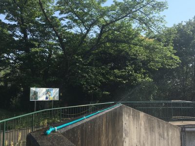 ミスト稼働