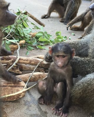 3ヶ月の赤ちゃん