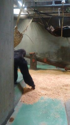 手を伸ばし