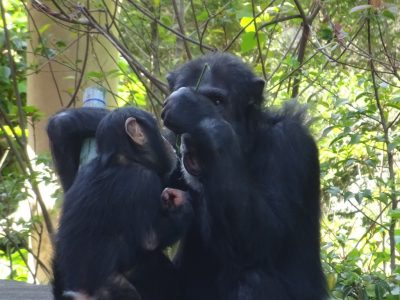 マモルとツトム