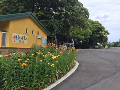 トイレ前花壇