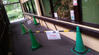 マダガスカル観覧通路