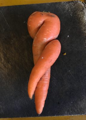 ニンジン