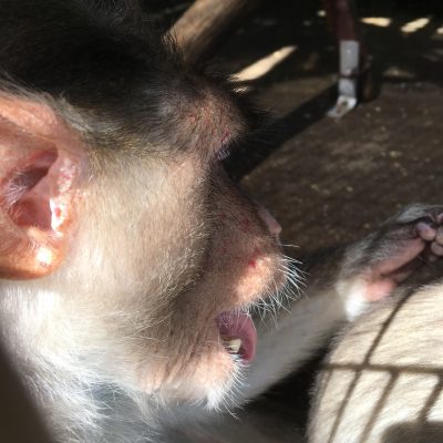 舌が出てるよ