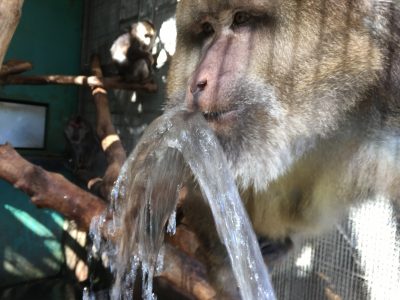 飲ませろ