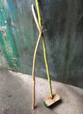枝