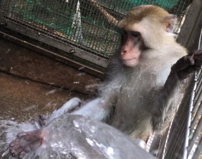 手を洗う