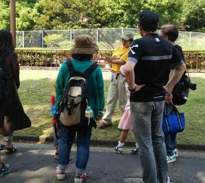 スポットガイドの様子