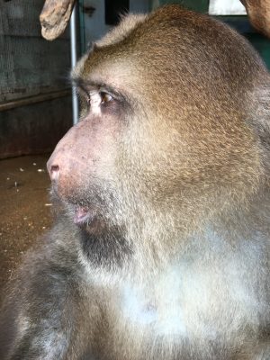 口をすぼめる