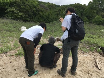 ドローン調査中