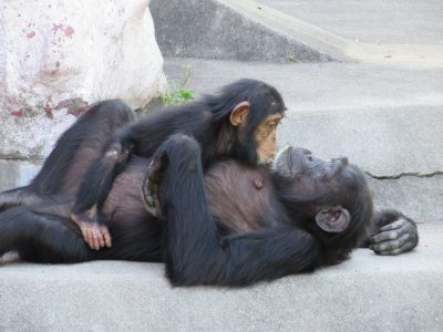 見つめあうマルコとマモル