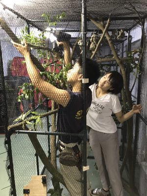 働く山梨さんと根本