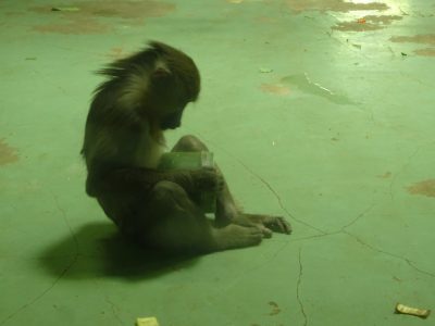 サユミ