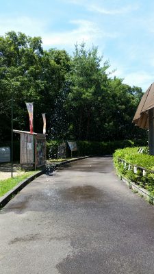 アジア館打ち水
