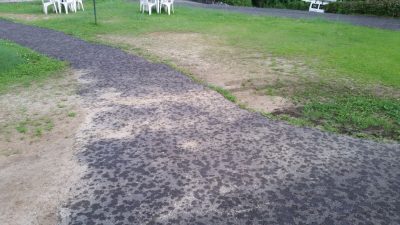 雨が降ってきたね