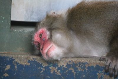 コウキ