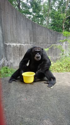 水を口に含むジミー