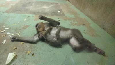 休憩するデイとイラーリ2
